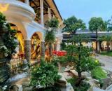 Bán đất mặt tiền Dương Quảng Hàm, P.6, Gò Vấp: 50 x 110, giá 420 tỷ.