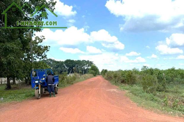 BÁN ĐẤT THỔ CƯ 1.400M2 SẴN 500M THỔ LỘ 24M LIÊN HUYỆN NGAY QL13 BÁN ĐÚNG 198 TRIỆU/S - 1