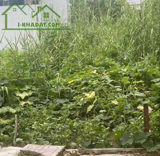 BÁN ĐẤT PHÂN LÔ ĐƯỜNG BƯNG ÔNG THOÀN, PHÚ HỮU – NGANG 5M, 100M2, GIÁ 6.2 TỶ - 1