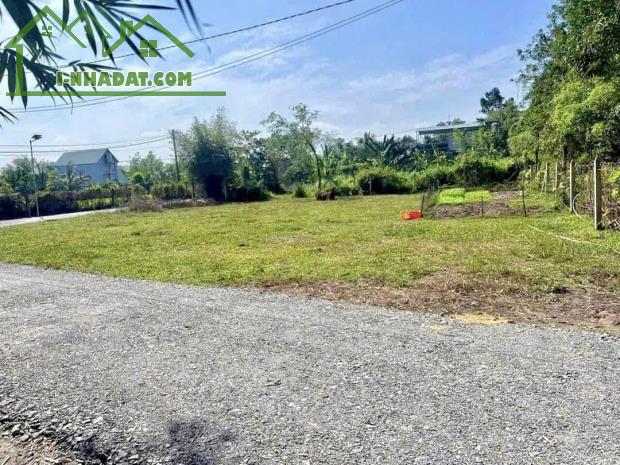 BÁN GẤP 2120M2 ĐẤT Ở NGAY CHỢ, TRƯỜNG HỌC DÂN ĐÔNG VỀ Ở LIỀN. GIÁ 220 TRIỆU