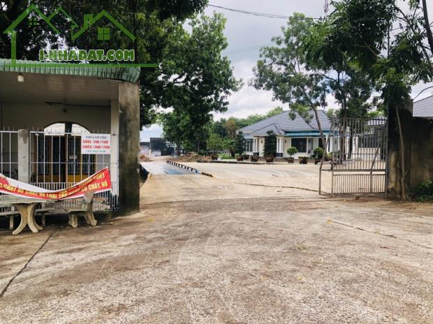 BÁN GẤP 2120M2 ĐẤT Ở NGAY CHỢ, TRƯỜNG HỌC DÂN ĐÔNG VỀ Ở LIỀN. GIÁ 220 TRIỆU - 2