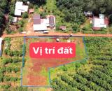 BÁN ĐẤT (22X50=1.023M2) THỔ CƯ 400M MT LỘ 18M NGAY SÂN BAY, KDL CHỈ 235 TRIỆU/S