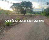 BÁN ĐẤT VƯỜN CÂY ĂN TRÁI 1.200M2 MẶT TIỀN NHỰA ĐẤT NGANG 20M