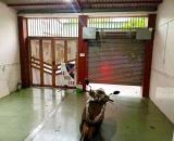 Cho thuê nhà 3 Tầng Trung Dũng, 4PN, ở kinh doanh văn phòng, dạy học, bán hàng live