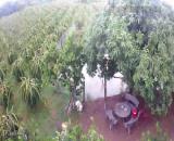 Bán vườn rộng 9700m2 tại Hàm Liêm view suối mát mẻ trong lành