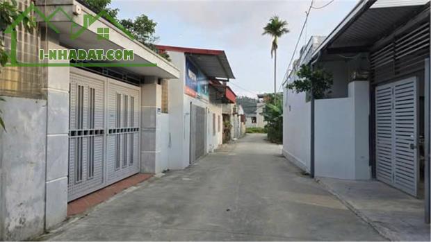 Chính Chủ Cần Bán Nhanh Căn Nhà ngõ 61 Đẩu Vũ 2, Văn Đẩu, Kiến An, Hải Phòng - 3