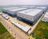 Nhà xưởng mới xây dựng 12000m2 cần cho thuê trong KCN Thuận Thành, pccc tiêu chuẩn, miễn g