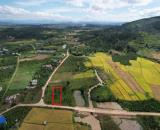 ĐẤT ĐẸP - GIÁ TỐT - Vị Trí Đắc Địa Tại Xã Đinh Lạc, Huyện Di Linh, Lâm Đồng