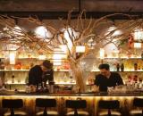Cần sang nhượng Quán Rooftop Bar được đầu tư tâm huyết; đã hoạt động hơn 2 năm.