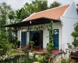 🔥 CẦN BÁN GẤP VƯỜN XOÀI CỔ THỤ 1.000m² – GIÁ CHỈ 580 TRIỆU 🔥