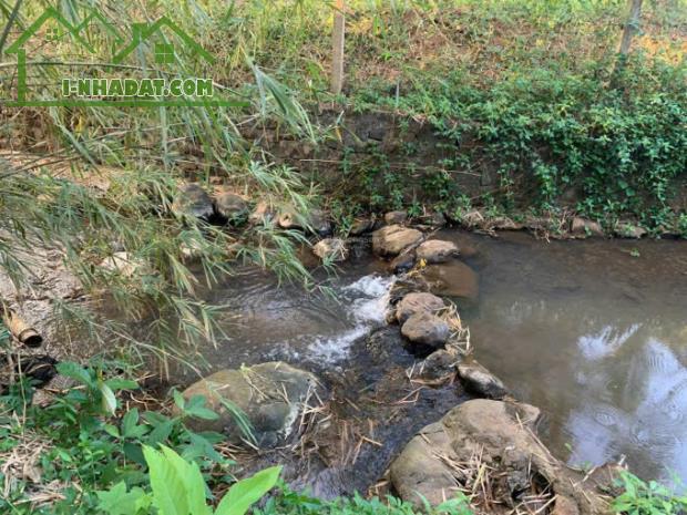 🏞️ SIÊU PHẨM VƯỜN TRÁI CÂY LÁNG LỚN CHÂU ĐỨC 2,2HA CÓ SUỐI – 200M² THỔ CƯ – GIÁ 22 TỶ - 3