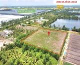 Bán Gấp 1 Hecta Đất Vườn Lương Hòa, Bến Lức - Giá Tốt!