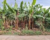Cần bán lô đất sào Phú Vinh 29 x 40 = 1000m2 đất như hình