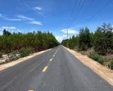 1000m2 Mặt Tiền Đường Nhựa Sát Trung Tâm Giá Chỉ 1,3 Tỷ