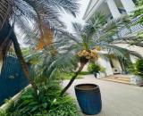 BÁN BIỆT THỰ C7 CIPUTRA VIEW HỒ CÔNG VIÊN SÂN GOLF - 380M2 - 12M MẶT TIỀN - SÁT LOTTE