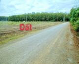 BÁN ĐẤT MT NHỰA (50X45=2.250M2) ĐƯỜNG SỐ 7 QM CHƠN THÀNH  THÔNG CỔNG KCN 630HA 35TR/MN