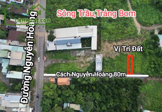 Đất Đẹp Giá Tốt – 1 Sẹc Nguyễn Hoàng, Gần Trung Tâm – Sổ Riêng, Xây Tự Do – 850 Triệu! - 2