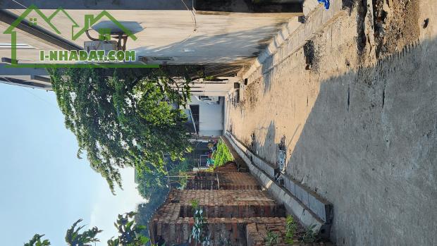 Chỉ 2.x tỷ đường trải nhựa ô tô vào đất Nam Hồng, Đông Anh - 2
