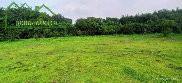 Bán 3500m2 đất thổ cư Long Đức gần SÂN BAY Long Thành chỉ 6,5 tỷ - 1