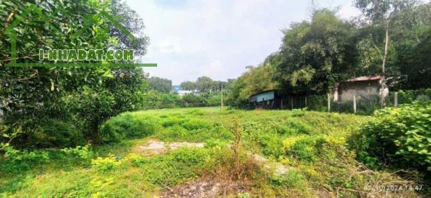 Bán 3500m2 đất thổ cư Long Đức gần SÂN BAY Long Thành chỉ 6,5 tỷ - 2