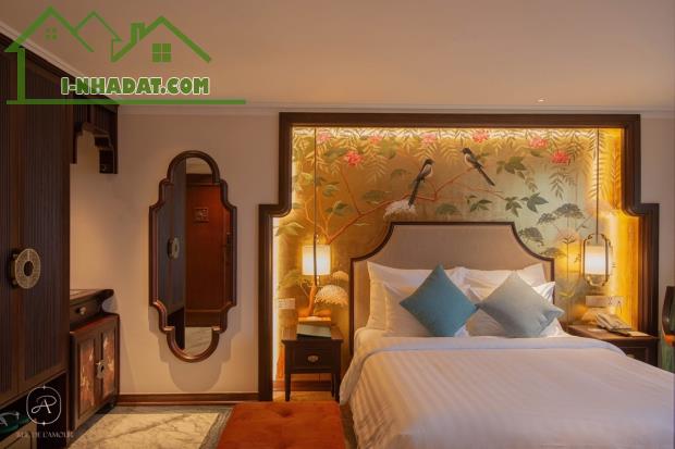 Bán nhà Ngụy Như Kon Tum, phân lô ôtô, MT rộng, thiết kế thang máy, 58m2, nhỉnh 18 tỷ - 2