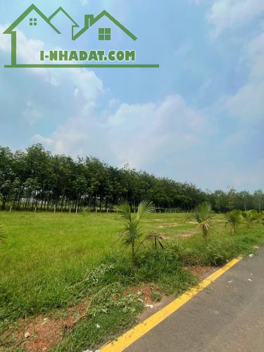 ĐẤT TÂN ĐỊNH BẾN CÁT NGAY CỔNG SAU ĐẠI NAM GIÁ RẺ