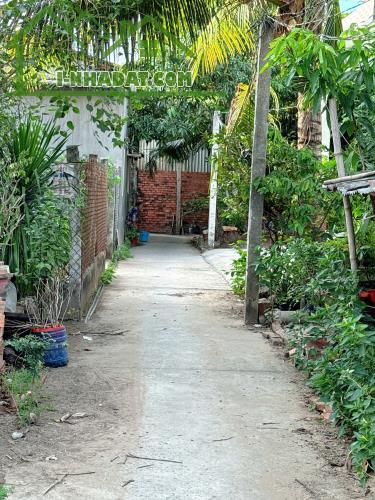 Cần bán gấp lô đất 139m2 P7,TP Bến Tre 450 triệu - 2