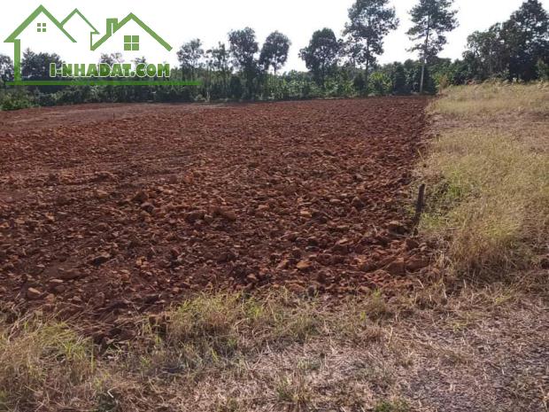 Đất giá rẻ Láng Lớn, Châu Đức – gần UBND, sổ riêng, đường ô tô, chỉ 850 triệu cho 1.060m²