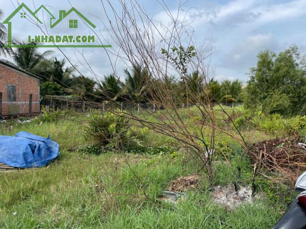 Chính Chủ Cần Bán Lô Đất Vị Trí Đẹp Tại Đường ĐT 832, Ấp 7, Xã Nhựt Chánh, Bến Lức, Long - 3