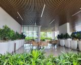 CHÍNH CHỦ CẦN BÁN GẤP CĂN HỘ OPAL SKYLINE TẦNG 30 Ngay Thành Phố Thuận An, Bình Dương.