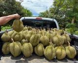 Chủ gửi bán lô đất giá rẻ tại Thị Trấn Dầu Giây, Thống Nhất