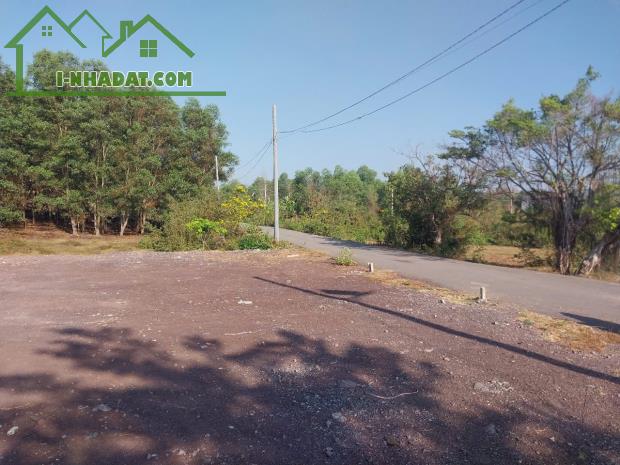🏡 BÁN LÔ ĐẤT ĐẸP AN HÒA – BIÊN HÒA – GẦN CỔNG 11, CHỢ CỔNG 11 – CHỈ 1 TỶ 650!! - 2