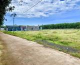 VỠ NỢ BÁN GẤP 2183M2 ĐẤT NGAY QL13 THÔNG RA KCN, SÁT CHỢ DÂN ĐÔNG TIỆN XÂY TRỌ. GIÁ 160TR
