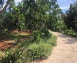 Cơ hội đầu tư đất Kim Long – 3.500m² mặt tiền rộng, giá rẻ chỉ 3 tỷ 8