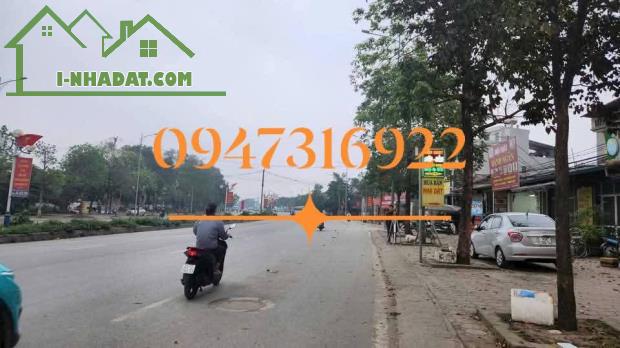 Lô đất cực Vip cực tiềm năng, kinh doanh đỉnh tại Đại Mạch, Đông Anh - 2