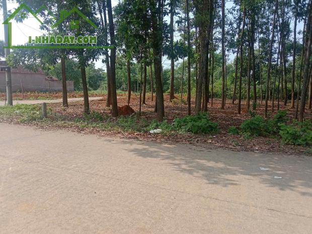Đất mặt đường rộng 9m, thông tứ phía sát Bái Đính (10mx20m) Giá:990 Triệu - 3