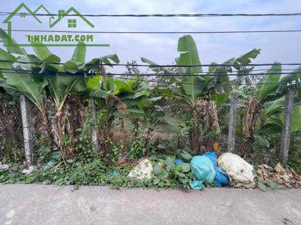 🔥 SIÊU PHẨM ĐẤT BÃI GIỮA SÔNG HỒNG – AN DƯƠNG – Ô TÔ VÀO ĐẤT – 361M² CHỈ 490 TRIỆU 🔥 - 1