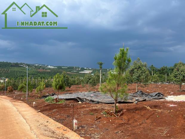 Cần Bán Đất Gần Chợ Tân Hà Lâm Hà Diện tích 302m² Giá 495 Triệu Thổ cư 177m²