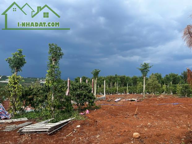 Cần Bán Đất Gần Chợ Tân Hà Lâm Hà Diện tích 302m² Giá 495 Triệu Thổ cư 177m² - 1