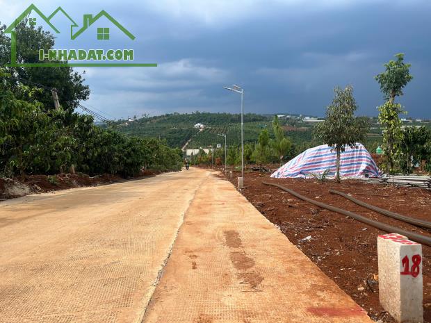 Cần Bán Đất Gần Chợ Tân Hà Lâm Hà Diện tích 302m² Giá 495 Triệu Thổ cư 177m² - 2