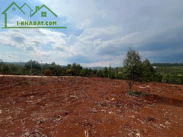 Cần Bán Đất Gần Chợ Tân Hà Lâm Hà Diện tích 302m² Giá 495 Triệu Thổ cư 177m² - 3