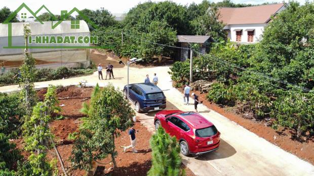 Bán Đất Tân Hà Lâm Hà giá rẻ 495 triệu có 177m² thổ cư 7m mặt tiền sổ hồng riêng cách chợ