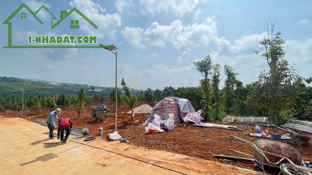Bán Đất Tân Hà Lâm Hà giá rẻ 495 triệu có 177m² thổ cư 7m mặt tiền sổ hồng riêng cách chợ - 2