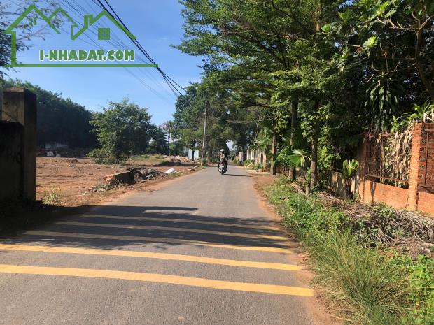 Mặt tiền đường nhựa – Gần Đại lộ Đông Tây & Khu Logistics 620ha – Giá chỉ 1,35 tỷ! - 1