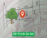 Bán đất Thị trấn Sóc Sơn - 95m2 - cực đẹp - cực rẻ - cực hiếm