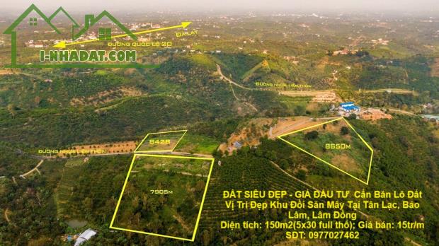 ĐẤT SIÊU ĐẸP - GIÁ ĐẦU TƯ  Cần Bán Lô Đất Vị Trí Đẹp Khu Đồi Săn Mây Tại Tân Lạc, Bảo