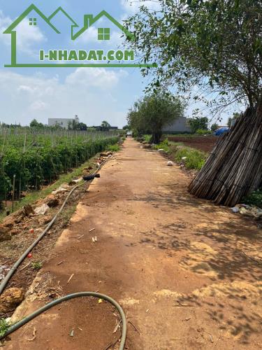 BÁN 380,4m2 TỔ 34 ĐƯỜNG LÊ HỒNG PHONG NỐI DÀI - THỊ TRẤN LIÊN NGHĨA -ĐỨC TRỌNG -LÂM ĐỒNG - 2