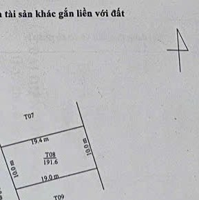 🚨 HOT – LÔ ĐẤT MẶT TIỀN VƯƠNG THỪA VŨ – THỦY PHƯƠNG – GIÁ CHỈ HƠN 10TR/M² - 2