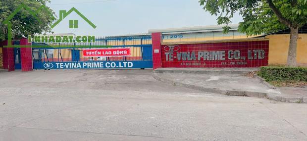 Bán đất băng 1 TDC Thụy Vân, 2,8 tỷ, 208 m2, MT 8m, KINH DOANH