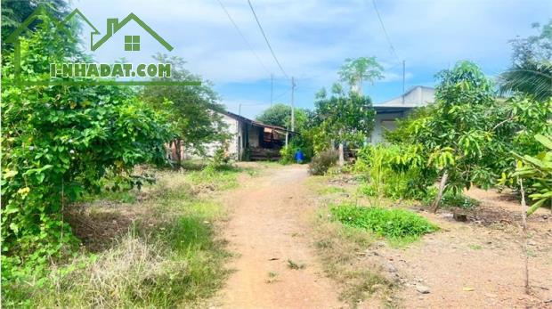 bán đất tặng nhà cấp 4, khí hậu trong lành, gần đập thủy điện trị an. đất đẹp